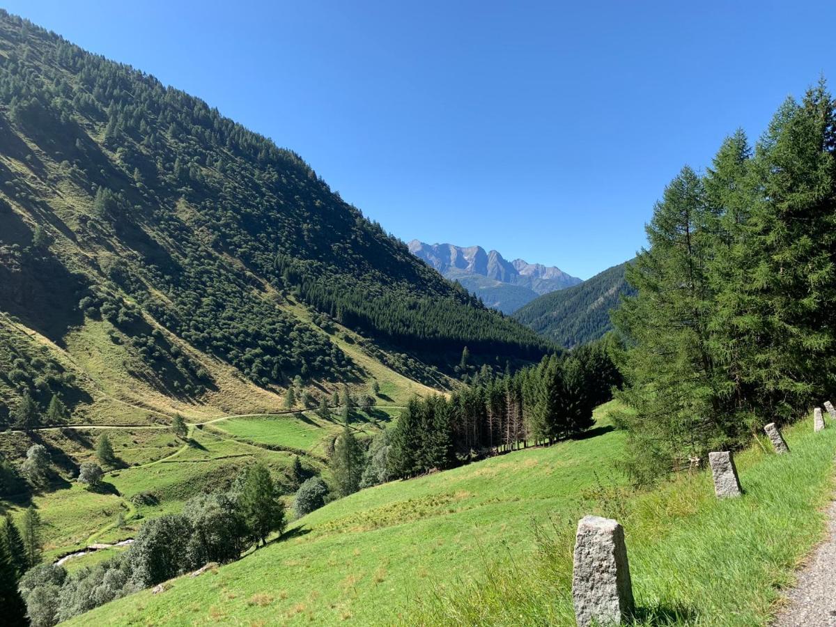 Baita Mirellina - Case Di Viso ปอนเตดีเลโญ ภายนอก รูปภาพ